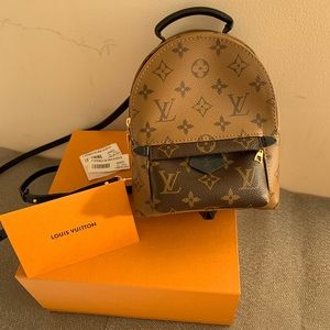 Louis Vuitton Palm Springs Mini Backpack